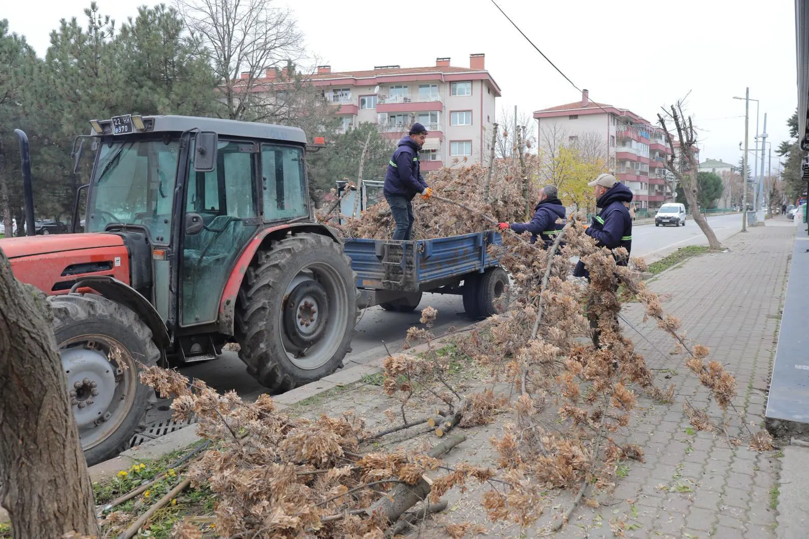 “YEŞİL EDİRNE” VİZYONU ŞEHRİ ADIM ADIM DÖNÜŞTÜRÜYOR galeri görseli